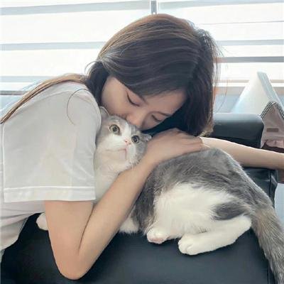 蛇案